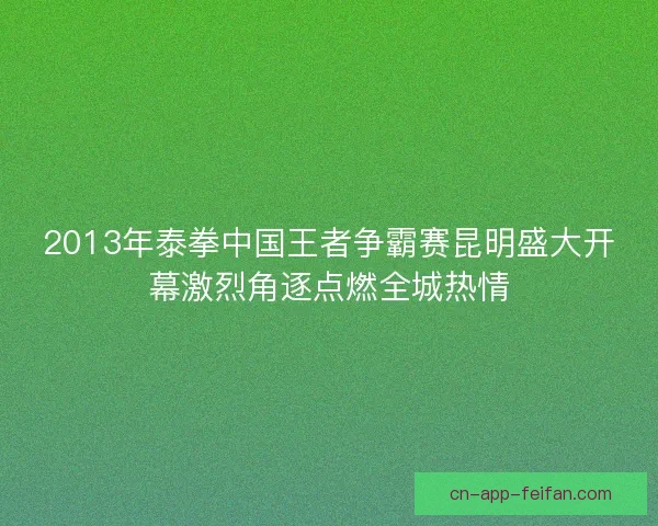 2013年泰拳中国王者争霸赛昆明盛大开幕激烈角逐点燃全城热情