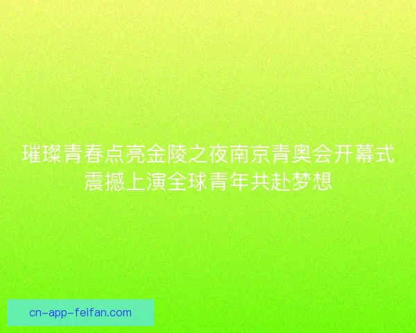 璀璨青春点亮金陵之夜南京青奥会开幕式震撼上演全球青年共赴梦想