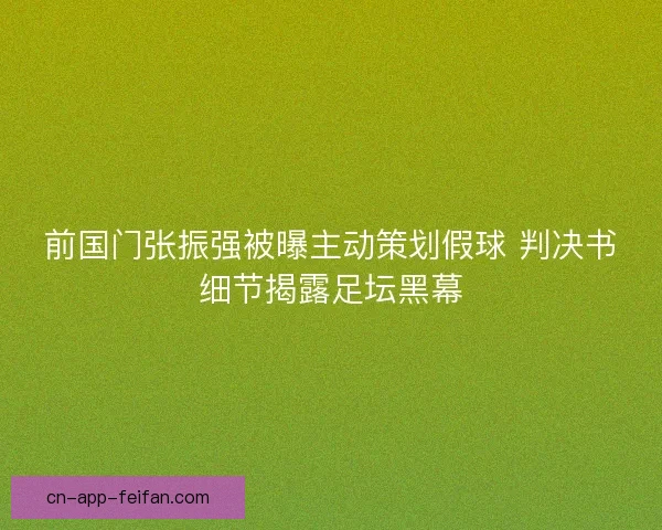 前国门张振强被曝主动策划假球 判决书细节揭露足坛黑幕